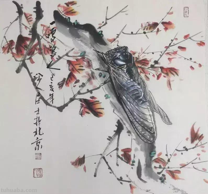 蝉的100副名家国画，画法详解