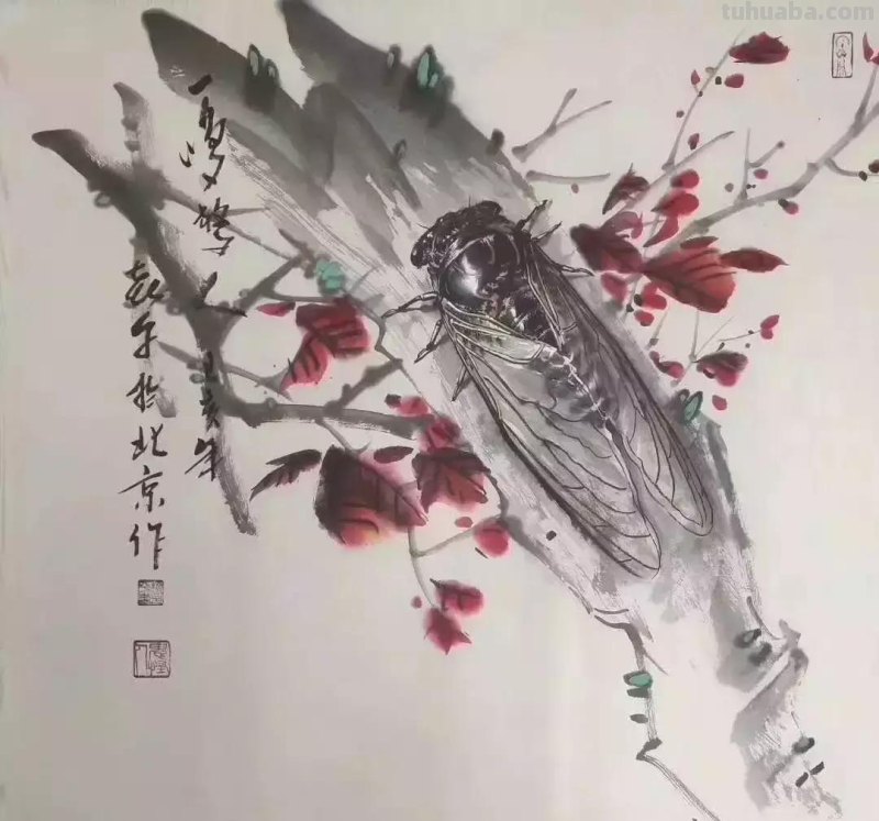 蝉的100副名家国画，画法详解