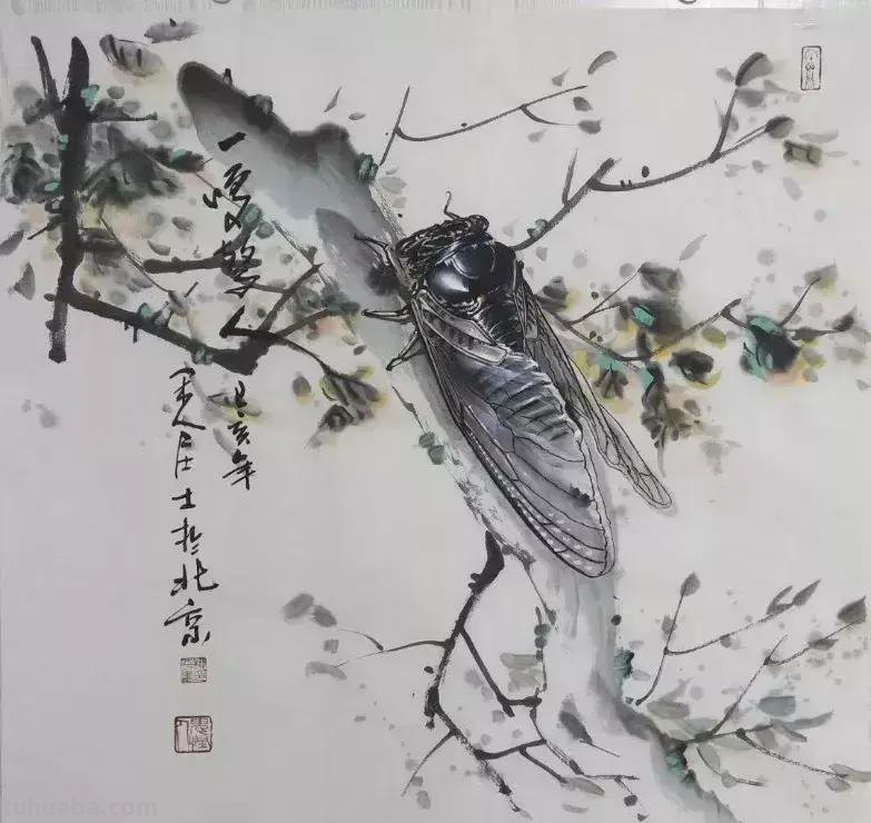 蝉的100副名家国画，画法详解