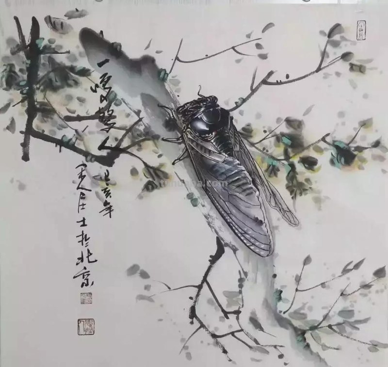 蝉的100副名家国画，画法详解