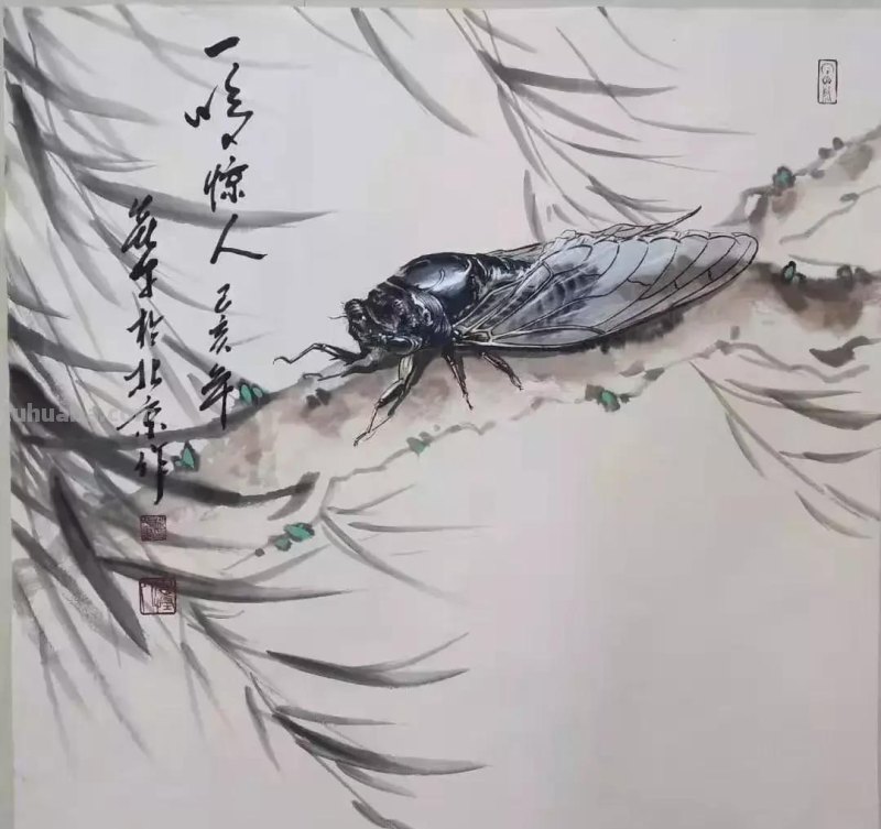 蝉的100副名家国画，画法详解