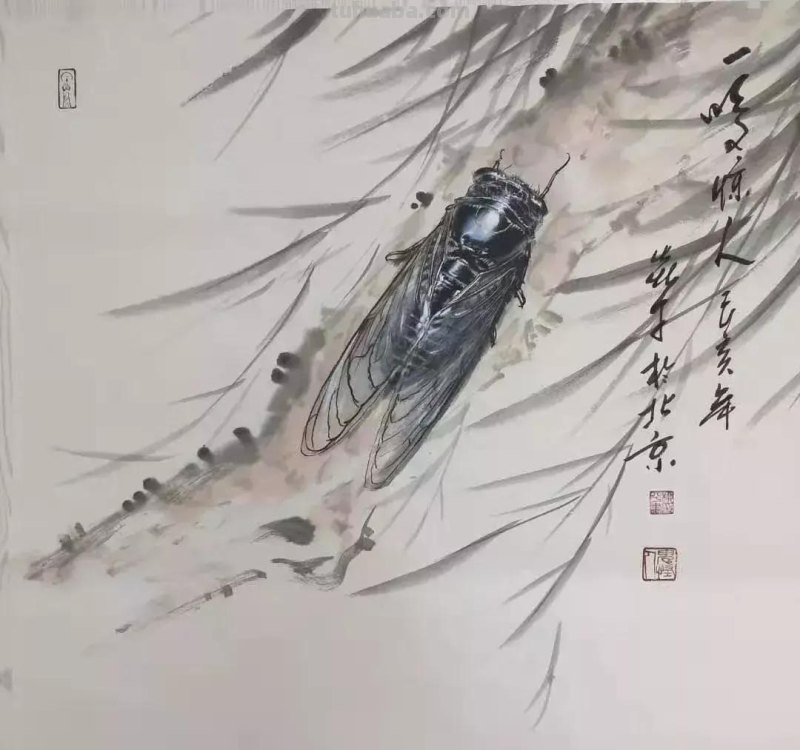 蝉的100副名家国画，画法详解