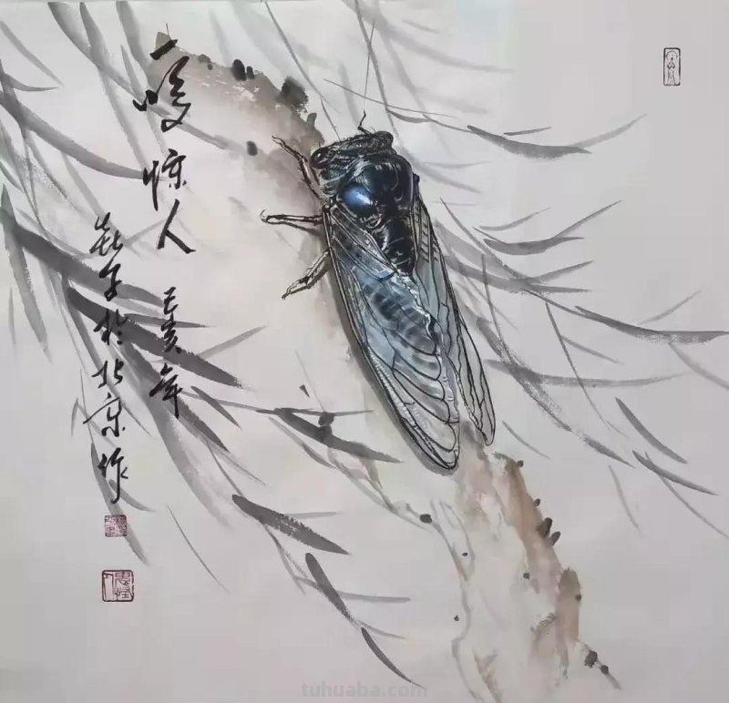 蝉的100副名家国画，画法详解