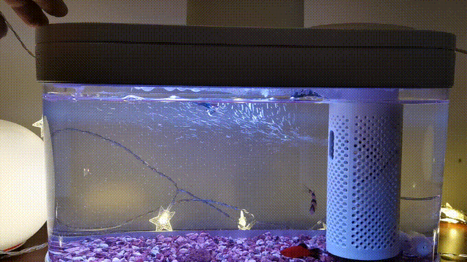 画法几何两栖生态鱼缸,智能养殖,双倍快乐 画法几何两栖生态鱼缸,智能养殖,双倍快乐