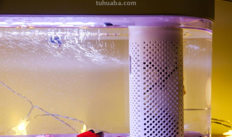 画法几何两栖生态鱼缸,智能养殖,双倍快乐 画法几何两栖生态鱼缸,智能养殖,双倍快乐