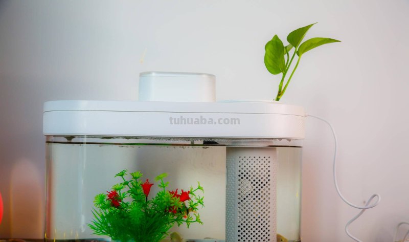 画法几何两栖生态鱼缸,智能养殖,双倍快乐 画法几何两栖生态鱼缸,智能养殖,双倍快乐