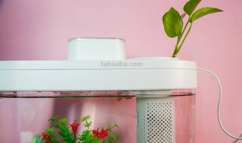 画法几何两栖生态鱼缸,智能养殖,双倍快乐 画法几何两栖生态鱼缸,智能养殖,双倍快乐