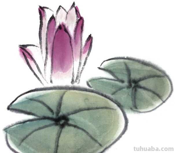 莲叶怎么画？不会上色？快来学习这几点画法，学会几分钟一幅画！