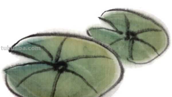 莲叶怎么画？不会上色？快来学习这几点画法，学会几分钟一幅画！