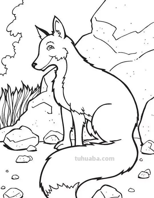 动物简笔画高清线稿，适合孩子画的简笔画