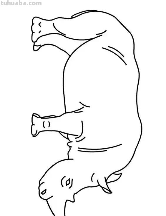 动物简笔画高清线稿，适合孩子画的简笔画