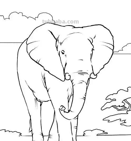 动物简笔画高清线稿，适合孩子画的简笔画