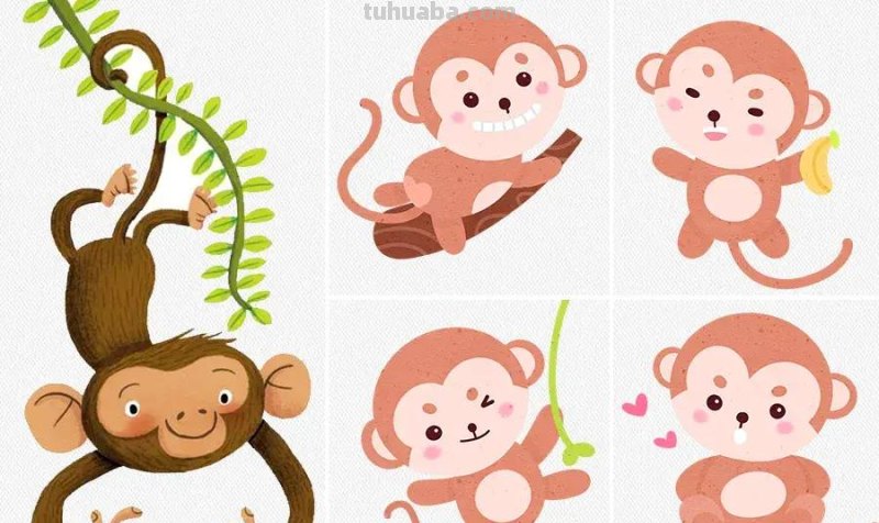儿童画教程｜探秘神奇的动物世界《丛林中的小猴子》