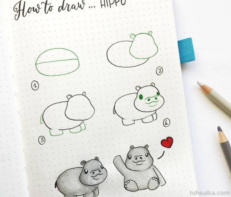 动物篇：20多款简笔画、手帐小插画，一学就会