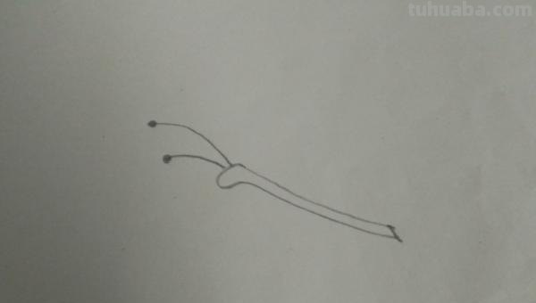 彩铅蝴蝶幼虫怎么画(彩铅蝴蝶幼虫怎么画好看) 彩铅蝴蝶幼虫怎么画(彩铅蝴蝶幼虫怎么画好看)