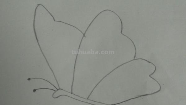 彩铅蝴蝶幼虫怎么画(彩铅蝴蝶幼虫怎么画好看) 彩铅蝴蝶幼虫怎么画(彩铅蝴蝶幼虫怎么画好看)