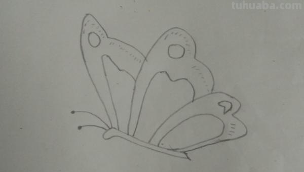 彩铅蝴蝶幼虫怎么画(彩铅蝴蝶幼虫怎么画好看) 彩铅蝴蝶幼虫怎么画(彩铅蝴蝶幼虫怎么画好看)