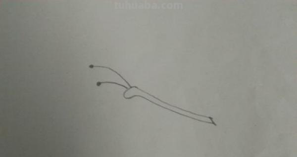 彩铅蝴蝶幼虫怎么画(彩铅蝴蝶幼虫怎么画好看) 彩铅蝴蝶幼虫怎么画(彩铅蝴蝶幼虫怎么画好看)