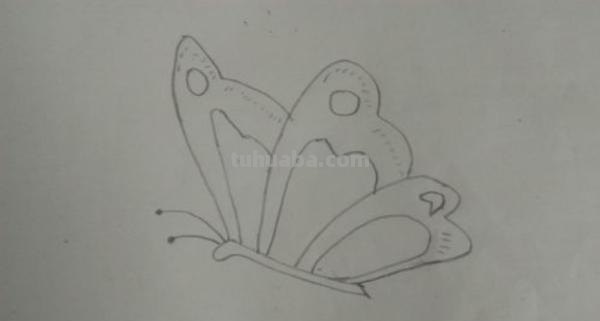 彩铅蝴蝶幼虫怎么画(彩铅蝴蝶幼虫怎么画好看) 彩铅蝴蝶幼虫怎么画(彩铅蝴蝶幼虫怎么画好看)