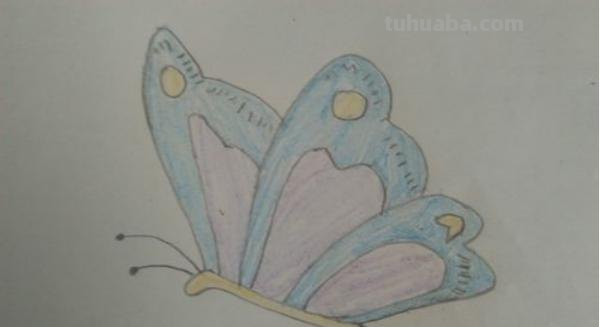 彩铅蝴蝶幼虫怎么画(彩铅蝴蝶幼虫怎么画好看) 彩铅蝴蝶幼虫怎么画(彩铅蝴蝶幼虫怎么画好看)