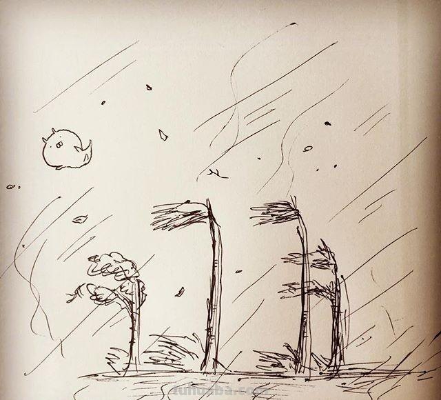 萌宠小可爱的日常生活简笔画