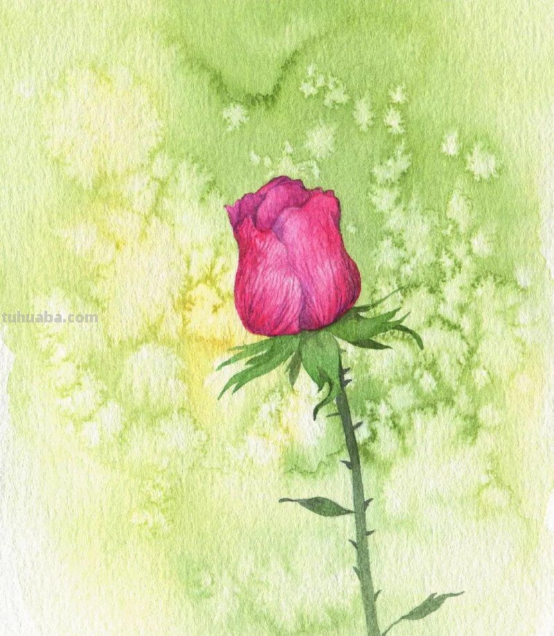 干货｜15种水彩画技法，拿去练！