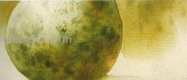 水彩竟然有12种基本技法？学到就是赚到