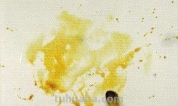 水彩竟然有12种基本技法？学到就是赚到