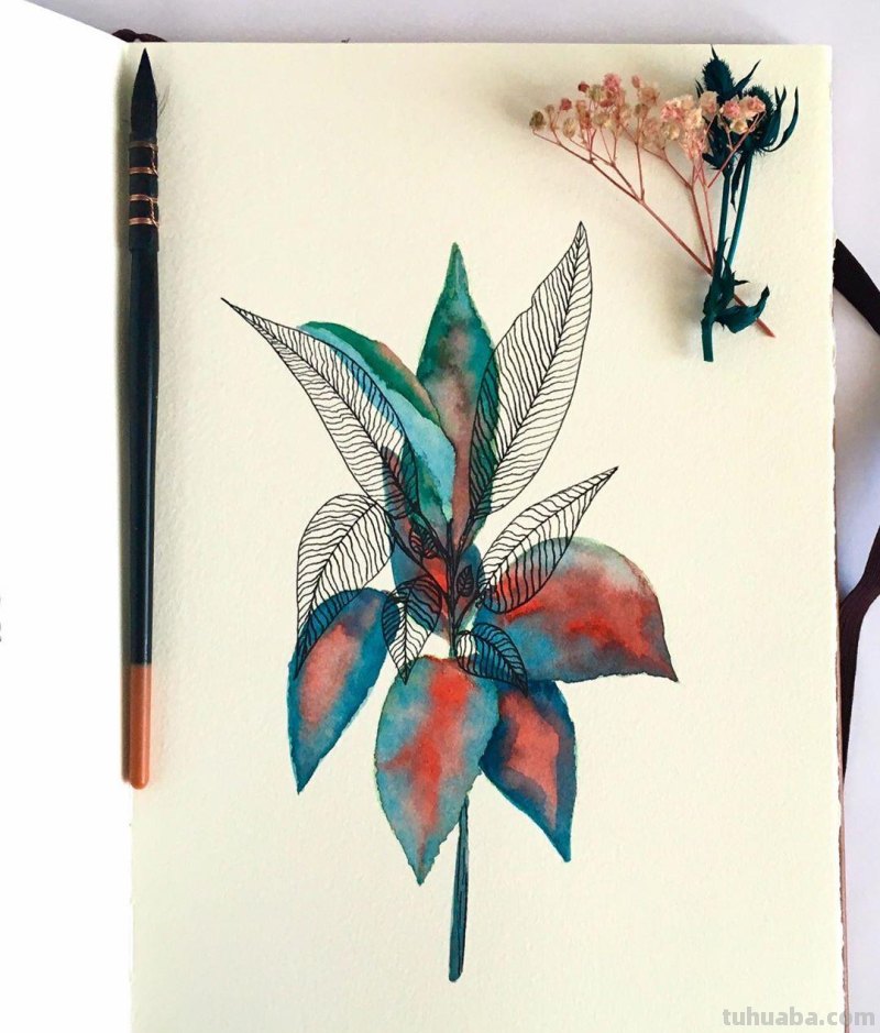 不会水彩画？用这个小技巧 水彩画简单又好看