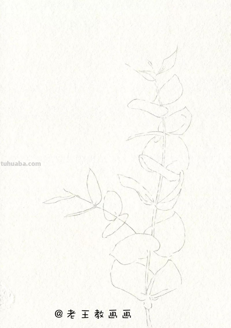 水彩基础教程来了，周末画一画