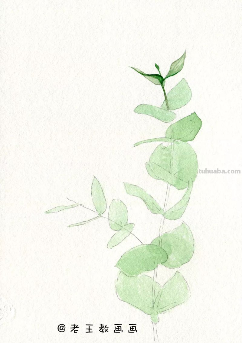 水彩基础教程来了，周末画一画