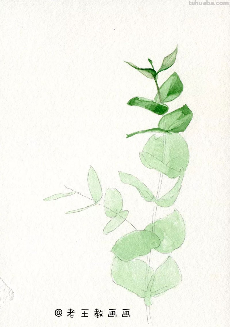 水彩基础教程来了，周末画一画