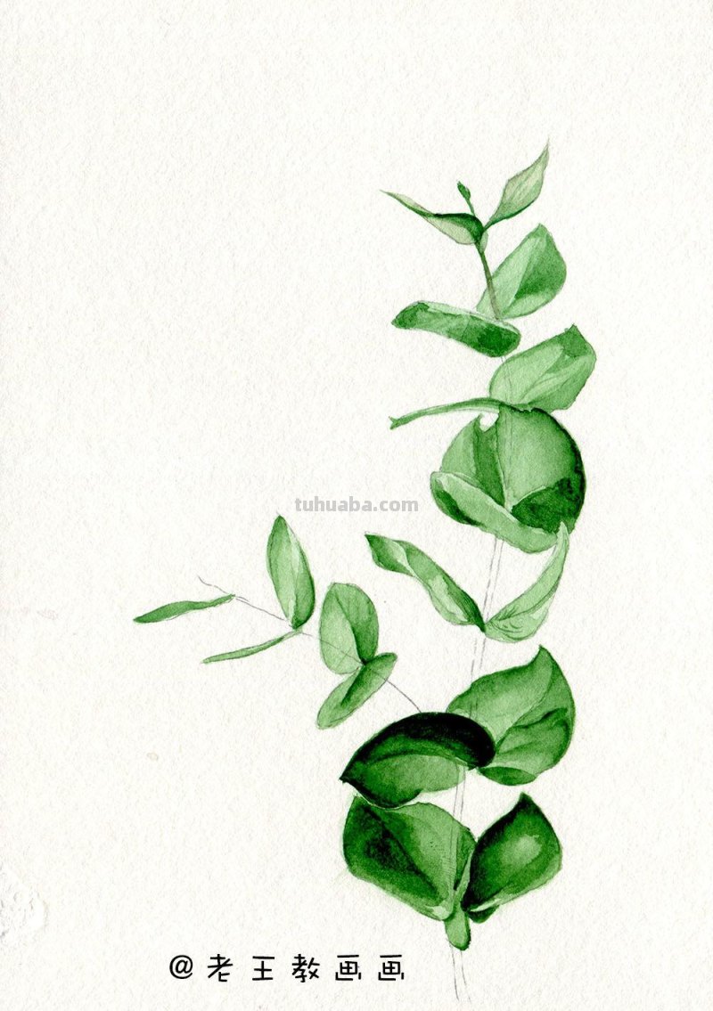 水彩基础教程来了，周末画一画