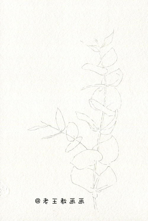 水彩基础教程来了，周末画一画