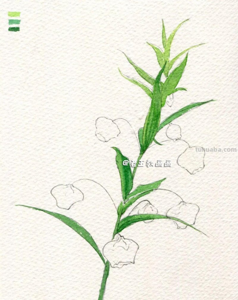 画画，要干脆利索！5步教你花朵水彩花卉