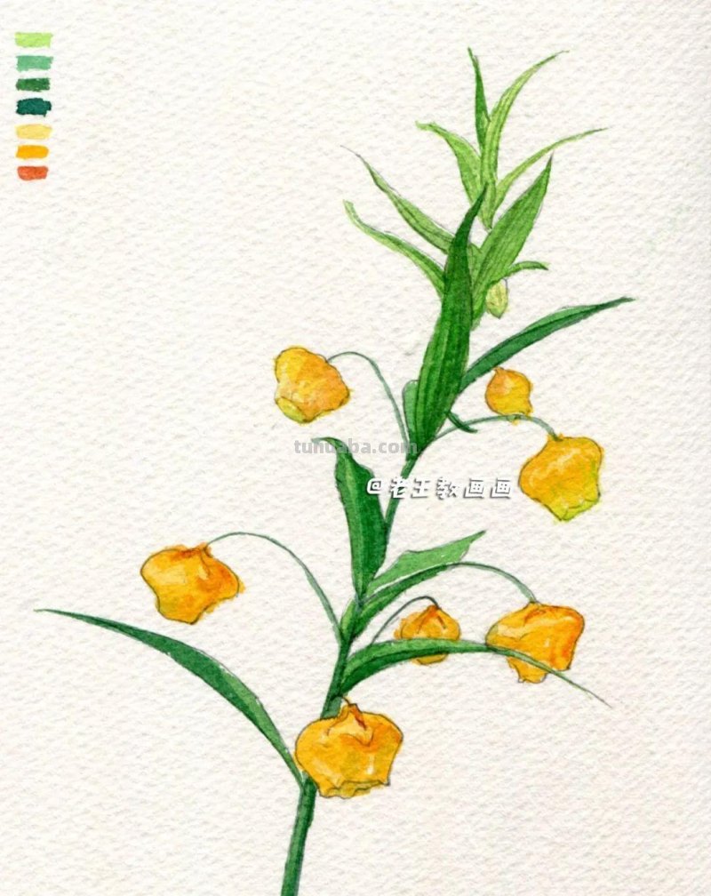画画，要干脆利索！5步教你花朵水彩花卉