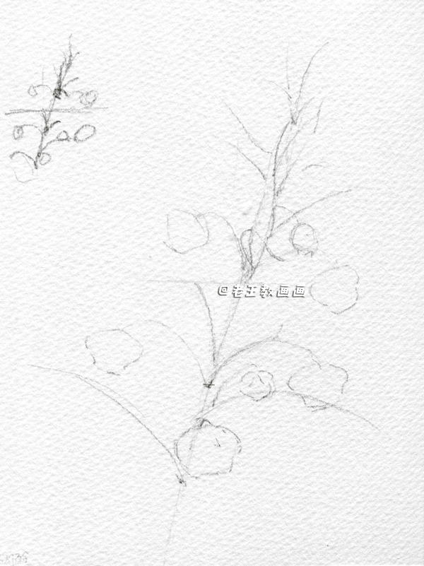 画画，要干脆利索！5步教你花朵水彩花卉