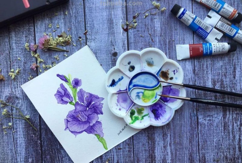 （干货）零基础学绘画－水彩工具篇