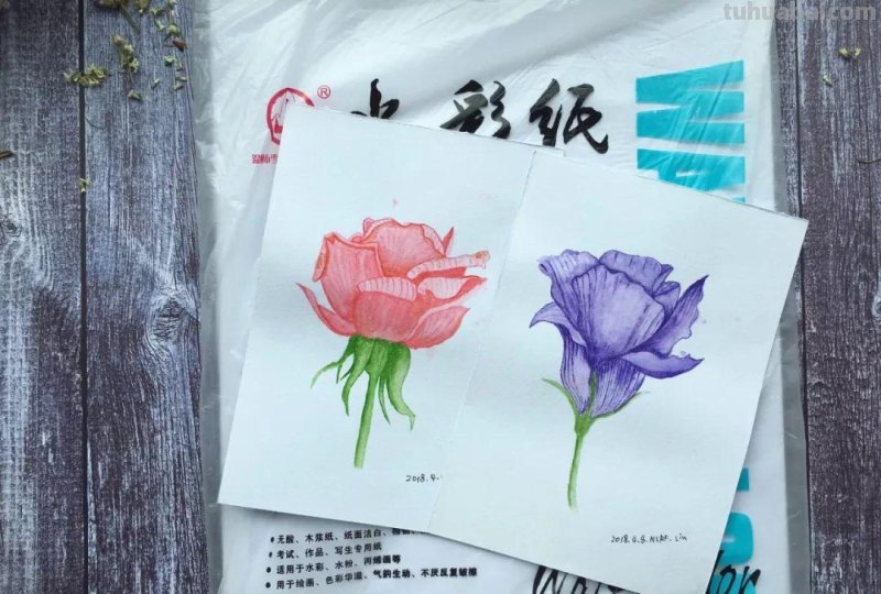 （干货）零基础学绘画－水彩工具篇