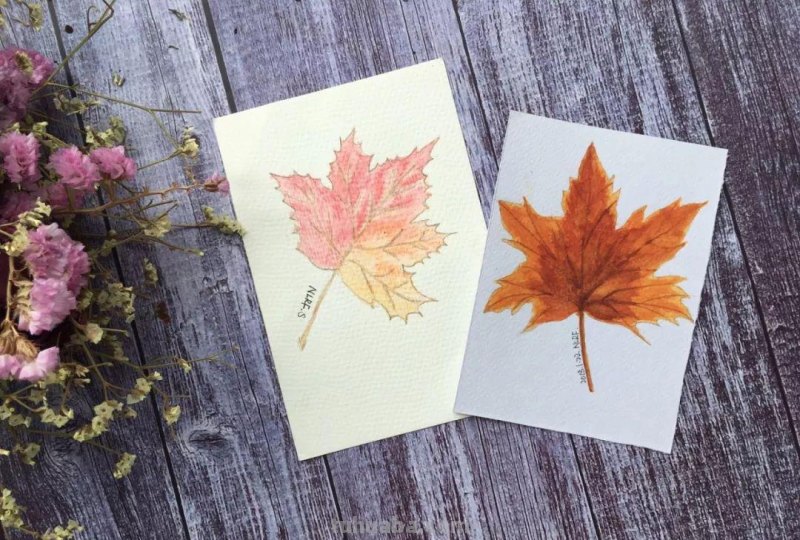 （干货）零基础学绘画－水彩工具篇