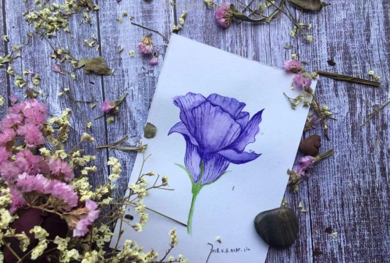 （干货）零基础学绘画－水彩工具篇