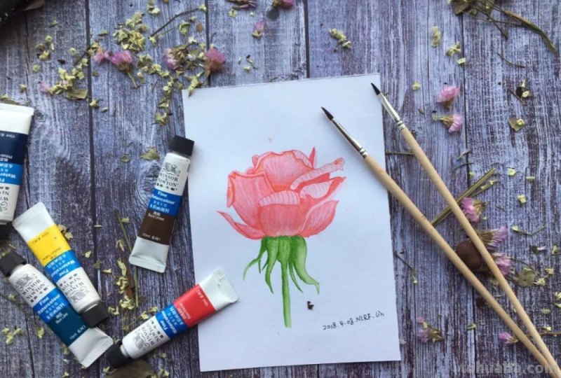 （干货）零基础学绘画－水彩工具篇