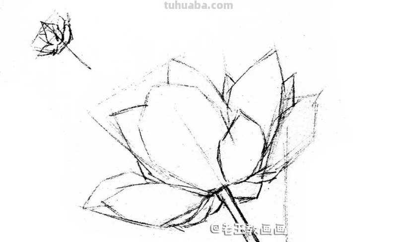 荷花那么美,教你用彩铅画一朵荷花 荷花那么美,教你用彩铅画一朵荷花