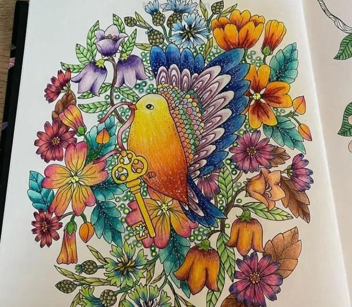 20张精选彩铅画，看看高手怎么用彩铅刻画细节的！装饰+细致