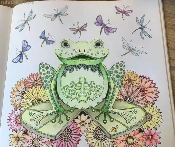 20张精选彩铅画，看看高手怎么用彩铅刻画细节的！装饰+细致