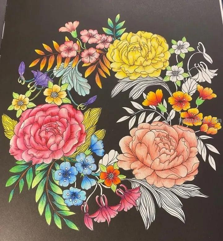 20张精选彩铅画，看看高手怎么用彩铅刻画细节的！装饰+细致