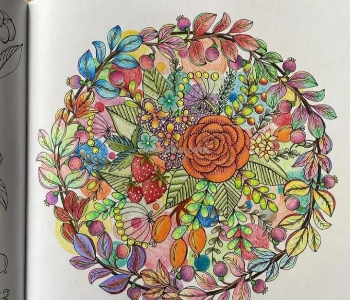 20张精选彩铅画，看看高手怎么用彩铅刻画细节的！装饰+细致