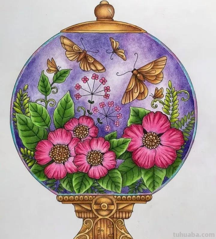 20张精选彩铅画，看看高手怎么用彩铅刻画细节的！装饰+细致
