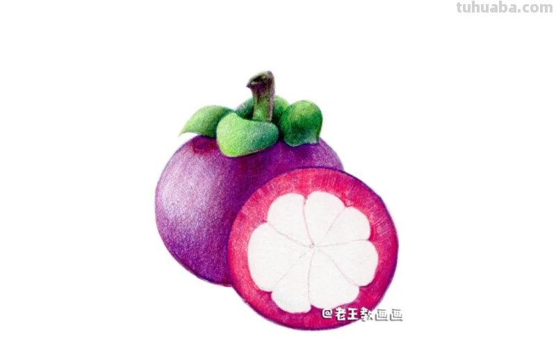 彩铅入门小教程，教你画山竹，零基础也可以学会
