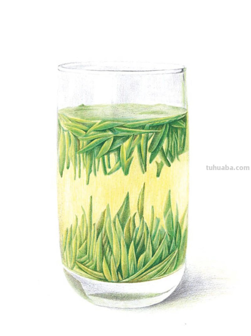 12张优质彩铅画临摹资料，简单易学